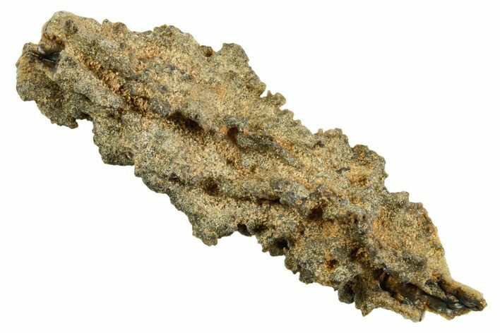 Fulgurite - Petrified Lightning #366345
